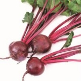 Свёкла (буряк)