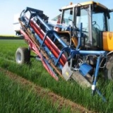 Возделывание моркови, лука и чеснока