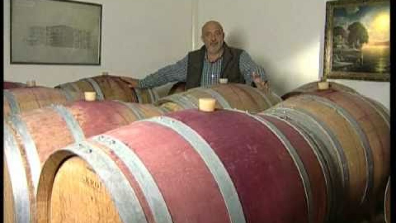 Технология производства честного вина на Одещине
