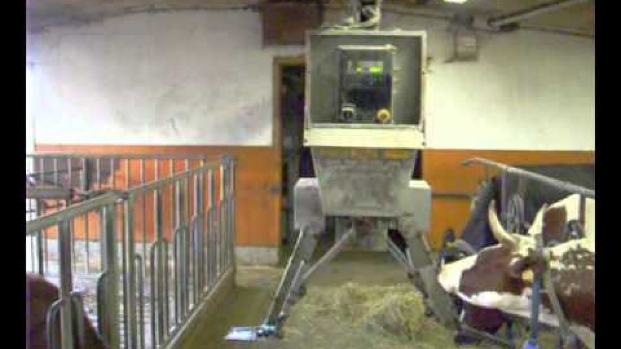Робот-кормораздатчик на молочной ферме в Финляндии