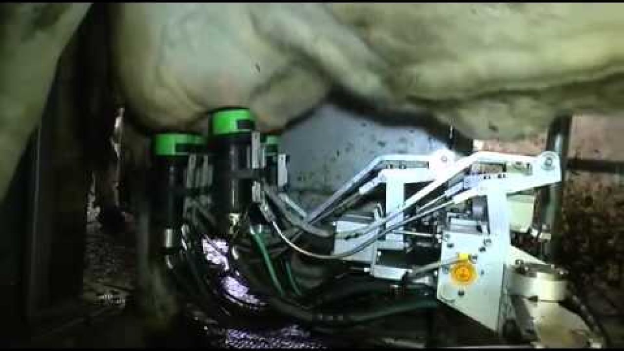 Доильный робот MIone. Мультибоксовая система. GEA Farm Technologies.