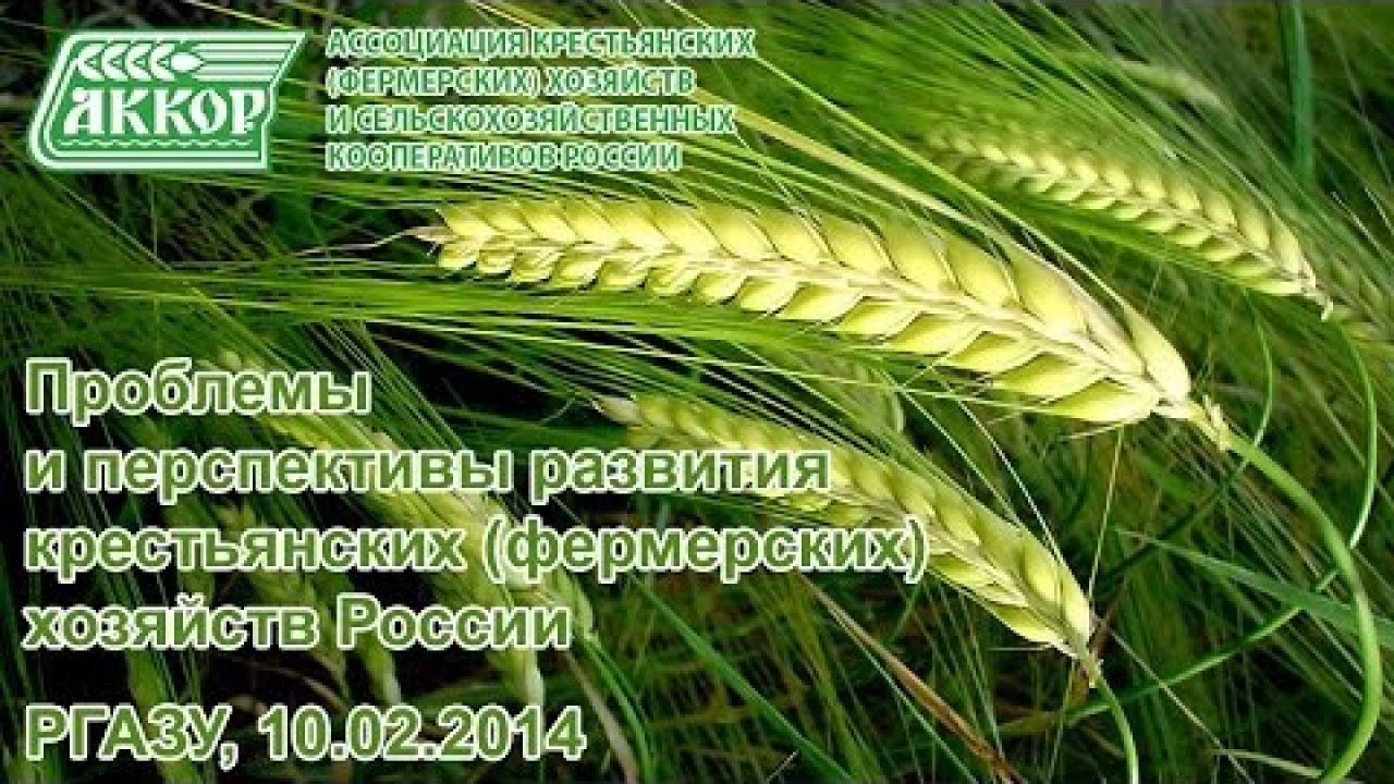 Проблемы и перспективы развития крестьянских (фермерских) хозяйств России