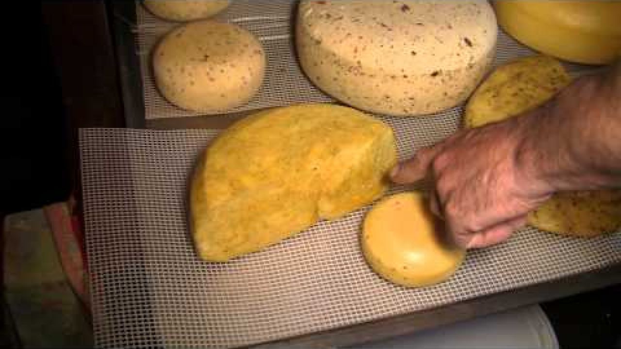 Оборудование для производства сыра