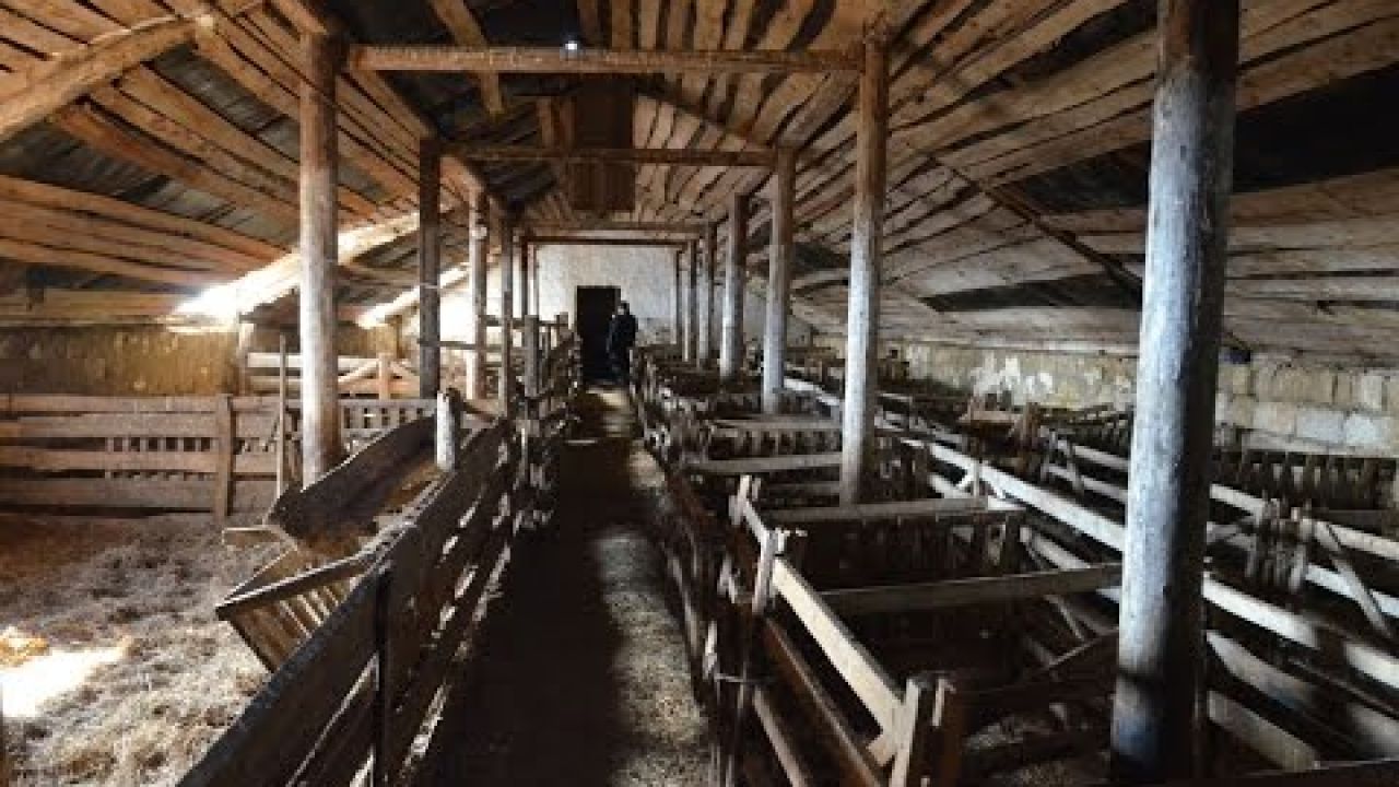Баз и помещение для содержания овец с ягнятами