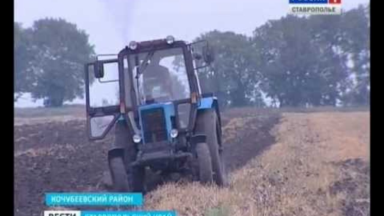 Сельское Ставрополье страдает от нехватки кадров