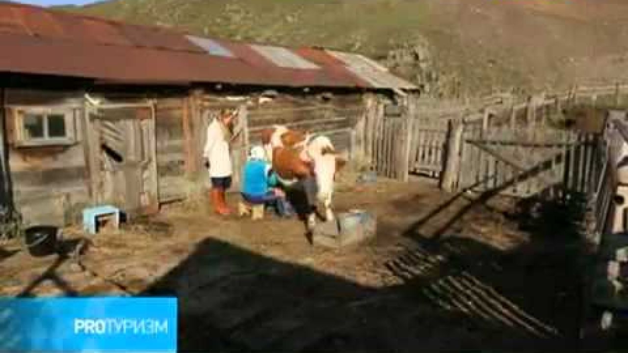 Сельский туризм развивают в Алтайском крае